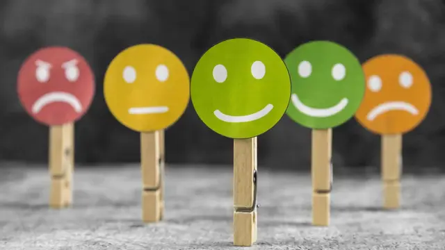 Kecerdasan Emosional